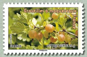 Colnect-1047-672-Groseilles-%C3%A0-maquereaux-France.jpg