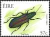 Colnect-1902-326-Leaf-Beetle-Donacia-vulgaris-.jpg