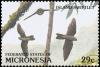 Colnect-3137-394-Micronesian-Swiftlet-Collocalia-inquieta-ponapensis.jpg