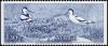 Colnect-4360-144-Pied-Avocet-Recurvirostra-avosetta.jpg