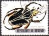 Colnect-958-653-Goliath-Beetle-Goliathus-goliathus.jpg