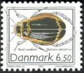 Colnect-438-153-Diving-Beetle-Dytiscus-latissimus.jpg
