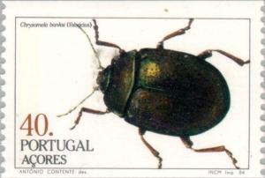 Colnect-186-043-Leaf-Beetle-Chrysomela-banksi.jpg