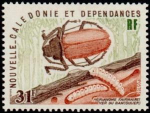 Colnect-853-899-Longhorn-Beetle-Agrianome-fairmairei.jpg
