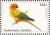 Colnect-965-455-Sun-Parakeet%C2%A0Aratinga-solstitialis.jpg