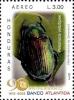Colnect-3742-035-Scarab-Beetle-Pelidnota-velutipes.jpg