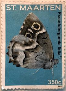 Colnect-5882-020-Pseudotergumia-Fidia.jpg