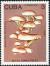 Colnect-2875-908-Pleurotus-floridanus.jpg