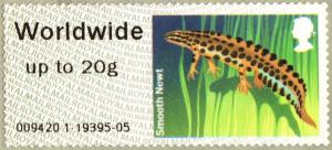 Colnect-2349-948-Smooth-Newt-Lissotriton-vulgaris.jpg