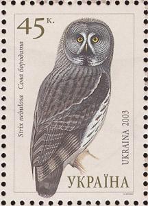 Colnect-998-328-Great-Grey-Owl%C2%A0Strix-nebulosa.jpg