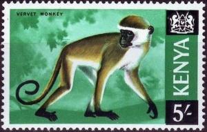 Colnect-2563-608-Vervet-Monkey-Chlorocebus-pygerythrus.jpg