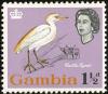 Colnect-1462-542-Cattle-Egret-Bubulcus-ibis.jpg