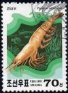 Colnect-1678-343-Chinese-White-Shrimp-Penaeus-orientalis.jpg