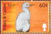 Colnect-1764-415-Cattle-Egret-Bubulcus-ibis.jpg