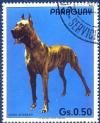 Colnect-2321-500-Great-Dane-Canis-lupus-familiaris.jpg