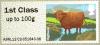 Colnect-2349-959-Highland-Cattle-Bos-nbsp-primigenius-taurus.jpg
