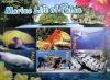 Colnect-2776-430-Marine-Life-of-Palau---MiNo-2337-42.jpg