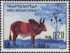 Colnect-3805-384-Zebu-Cattle-Bos-primigenius-indicus.jpg