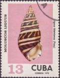 Colnect-1800-990-Liguus-Tree-Snail-Liguus-blainianus.jpg