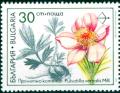 Colnect-4290-226-Spring-Pasque-Flower-Pulsatilla-vernalis.jpg