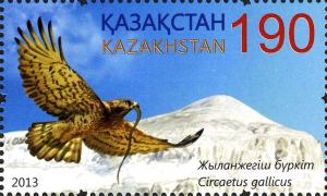 Colnect-3595-920-Ustyurt-Nature-Reserve-Short-toed-Snake-eagle-Circaetus-ga.jpg