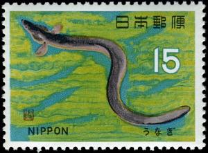 Colnect-4861-863-Japanese-Eel-Anguilla-japonica.jpg