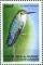 Colnect-2242-043-Bee-eater-Merops-sp.jpg