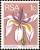 Colnect-4030-415-Large-white-iris-Dietes-grandiflora.jpg