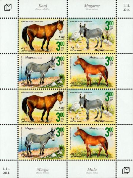 Colnect-5840-456-Horse-donkey-hinny-mule.jpg