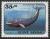 Colnect-1331-800-Sei-Whale-Belaenoptera-borealis.jpg