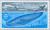 Colnect-148-942-Blue-Whale-Balaenoptera-musculus.jpg