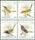 Colnect-2857-722-Philippine-Birds---MiNo-4204-07II.jpg