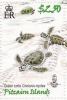 Colnect-4002-017-Green-Turtle-Chelonia-mydas-hatchlings.jpg