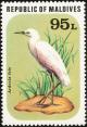 Colnect-1631-847-Cattle-Egret-Ardeola-ibis.jpg