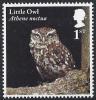 Colnect-4978-989-Little-Owl---Athene-noctua.jpg