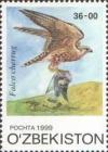 Colnect-808-334-Saker-Falcon-Falco-cherrug.jpg