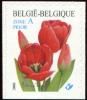 Colnect-5720-630-Red-Tulip-Selfadhesive-Bottom-imperforate.jpg