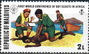 Colnect-3254-470-First-World-Conference-of-Boy-Scouts-in-Africa.jpg