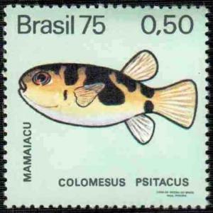 Colnect-793-429-Parrot-Puffer-Colomesus-psittacus-.jpg