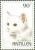 Colnect-960-076-Angora-Felis-silvestris-catus.jpg