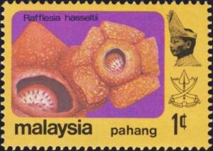 Colnect-2587-368-Rafflesia-hasseltii.jpg
