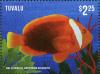 Colnect-3146-433-Fire-Clownfish-Amphiprion-melanopus.jpg