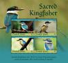 Colnect-5995-545-Sacred-Kingfisher-Todiramphus-sanctus.jpg