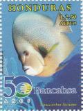 Colnect-3171-345-Gray-Angelfish-Pomacanthus-arcuatus.jpg