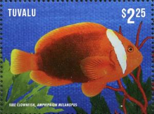Colnect-3146-433-Fire-Clownfish-Amphiprion-melanopus.jpg