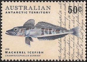 Colnect-3872-066-Mackerel-Icefish-Champsocephalus-gunnari.jpg