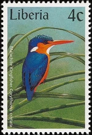 Colnect-745-918-Malachite-Kingfisher-Corythornis-cristatus.jpg