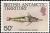 Colnect-3076-679-Blackfin-Icefish-Chaenocephalus-aceratus.jpg