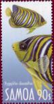 Colnect-1724-383-Regal-Angelfish-Pygoplites-diacanthus.jpg