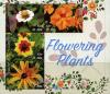 Colnect-6319-983-Flowering-plants.jpg